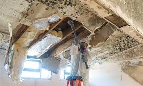 Best Mold Damage Restoration in Scarsdale, NY